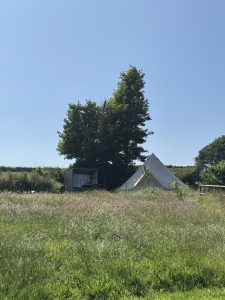 IMG_2812